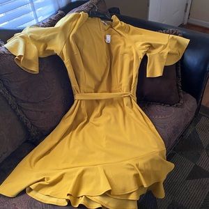 Mustard Plus size dress NWT